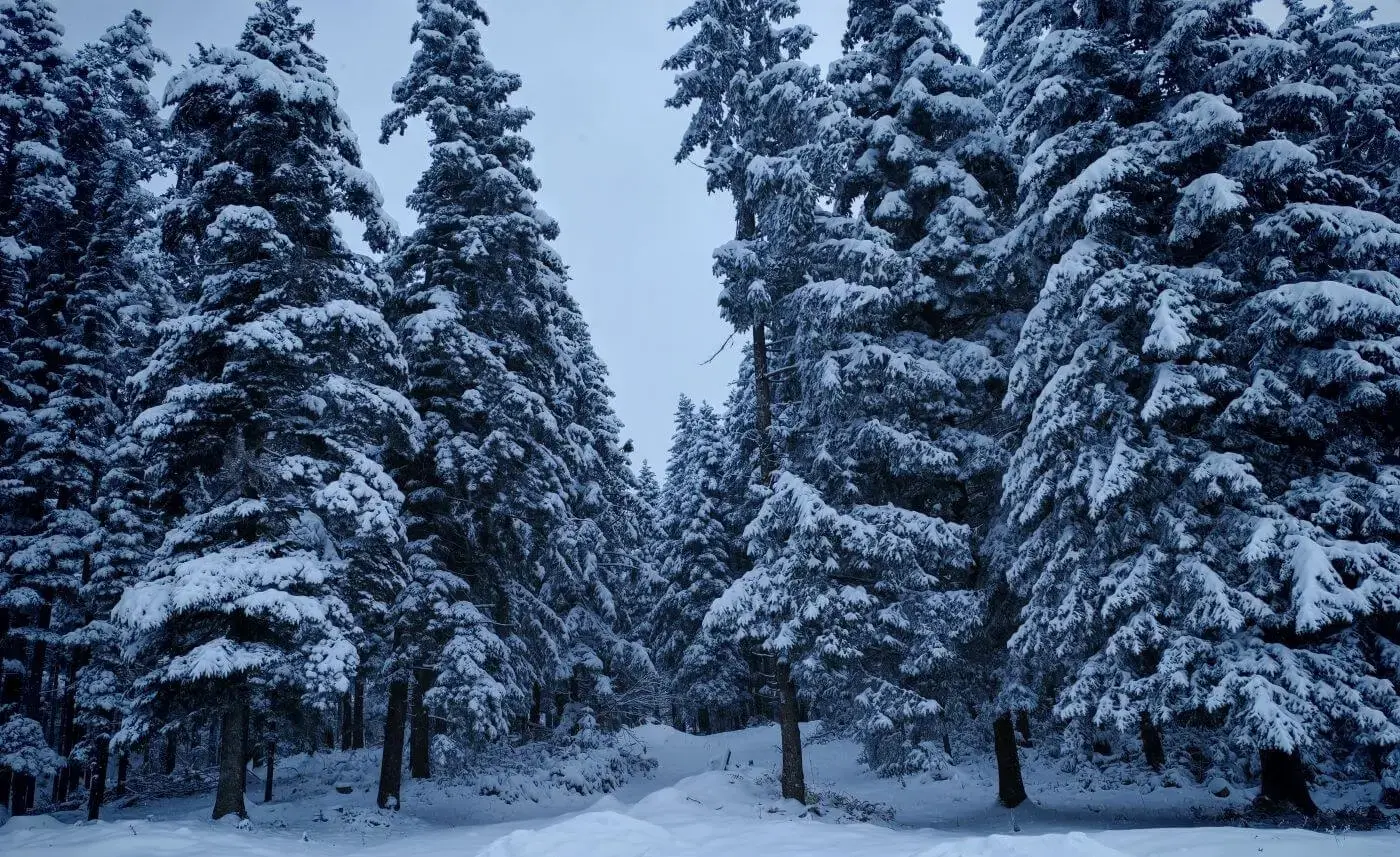 Winter stargazing reality check - Snow and dark sky